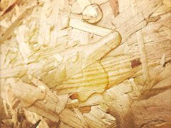 下一代OSB4由英國歐松板專業生產廠家MEDITE SMARTPLY推出！