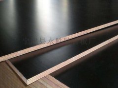 供應施工專用黑模板、建筑模板廠家直銷圖2