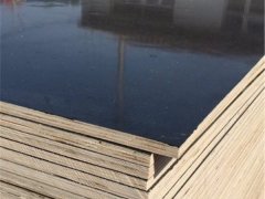 廠家直銷施工專用建筑模板、高硬度黑模板現(xiàn)貨批零圖2