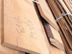 金威木業歐洲櫸木 山毛櫸 櫸木 實木板 毛邊板 木板 木料圖2