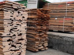 金威木業歐洲櫸木 山毛櫸 櫸木 實木板 毛邊板 木板 木料圖3