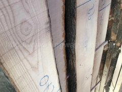 金威木業(yè)進(jìn)口歐洲材 白蠟?zāi)?白臘 實(shí)木 板材 毛邊板ABC圖2